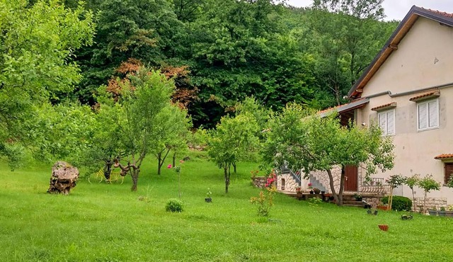 2 bedroom cozy apartment in Srb