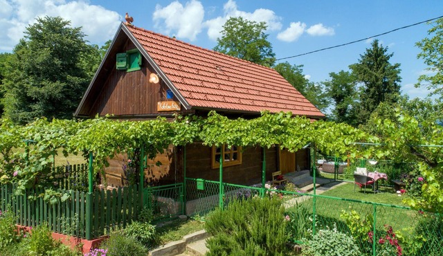 2 bedroom cozy home in Konjscina