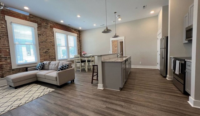 2 Bedroom Downtown Apartment