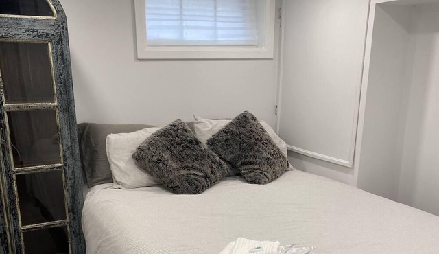 2 Bedroom Downtown Whitby with Sauna. Walking distance from bars & restaurants