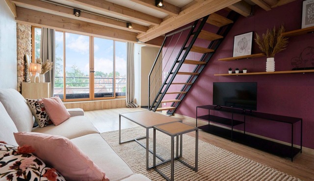 2 bedroom duplex apartment - near Lille