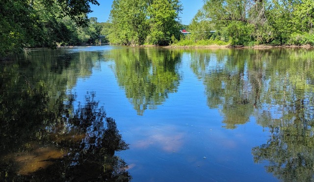 2-bedroom escape on James River w/river access and canoe near James River Park