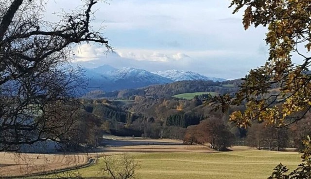 2-bedroom family friendly lodge in private woodland with luxury sauna.