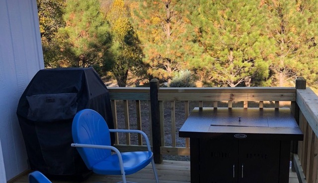 2 Bedroom Family Mountain cabin that Sleeps 9 with Stunning Views
