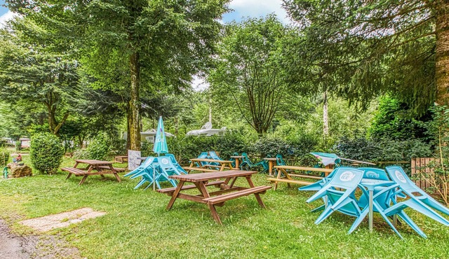 2 bedroom accommodation in Conques-en-Rouergues