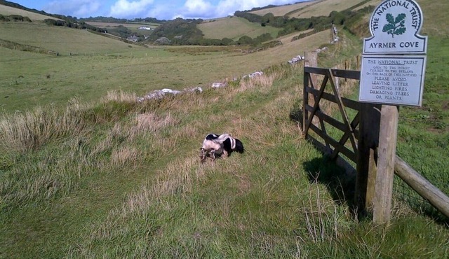 2 Bedroom Cottage in Kingston