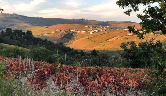 2-bedroom gîte with panoramic views, surrounded by vineyards and surrounded by nature.