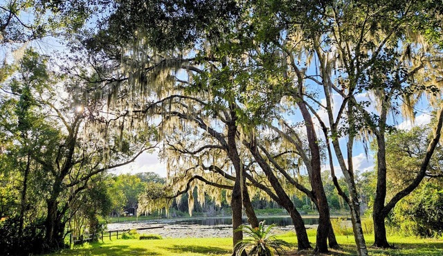 2-bedroom house in beautiful Lake Helen with air conditioning