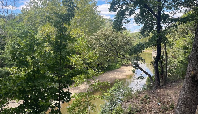 2 bedroom house near Mark Twain Lake on Salt River! WiFi and Boat parking!