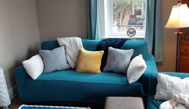 2-bedroom house - bring the pets!