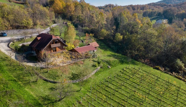 2 bedroom gorgeous home in Veliki Vrh Kamanjski