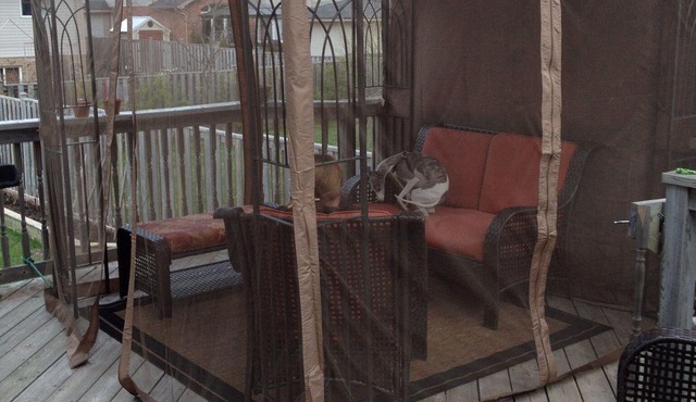 2 Bedroom in Beautiful Niagara Region wineries district in lovely Smithville ON