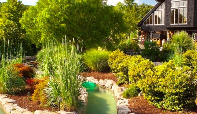 2 Bedroom Lodge at Wilderness Club, Big Cedar!