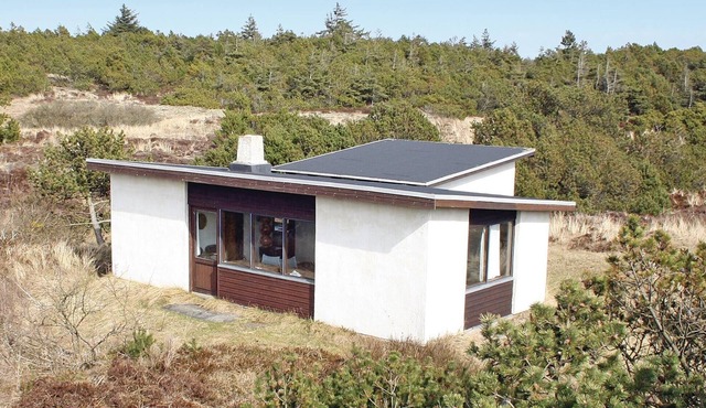 2 bedroom lovely home in Nørre Nebel