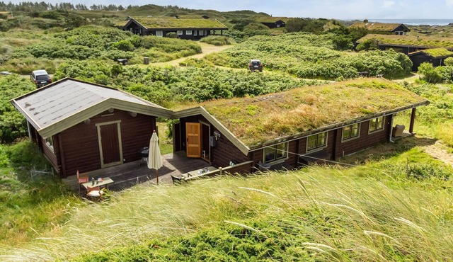 2 bedroom lovely home in Saltum