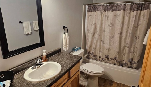 2 Bedroom Lower Duplex