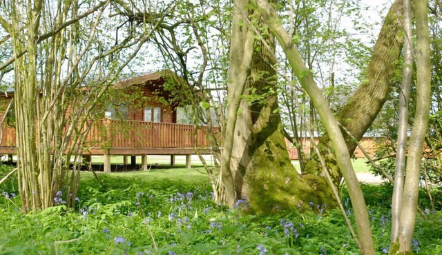 2 Bedroom, Luxury Woodland Lodge (sleeps 4)