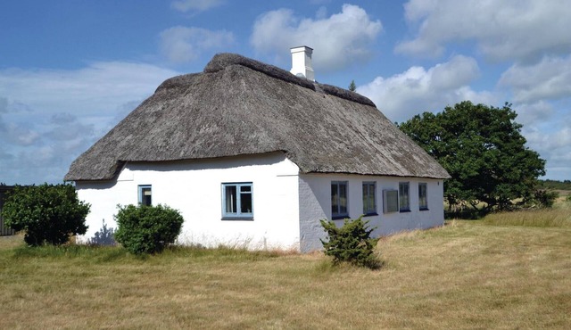 2 bedroom pet friendly home in Nørre Nebel