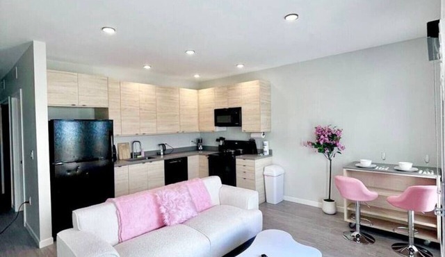 2 Bedroom Pink-themed Apartment in Des Moines