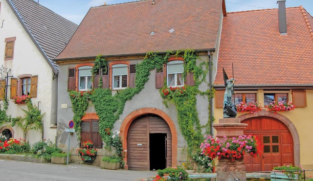 2 bedroom stunning home in Pfaffenheim
