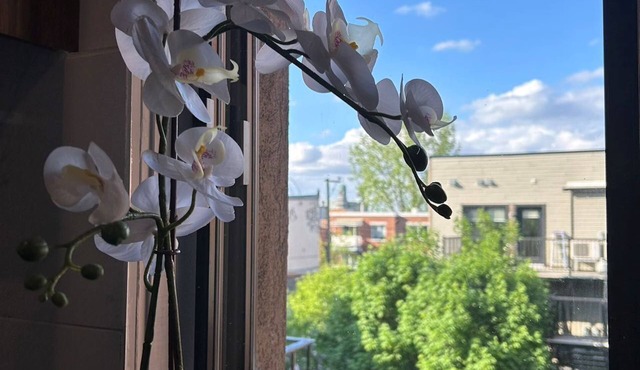2 Bedrooms,1 Sofa bed and 1,5 Bathrooms,Renovated Apartment Plateau Mont-Royal