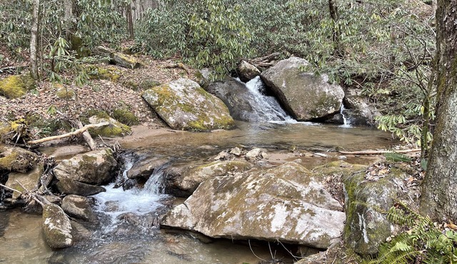 2 BR 2 BA house on Buck Mountain with mountain views!