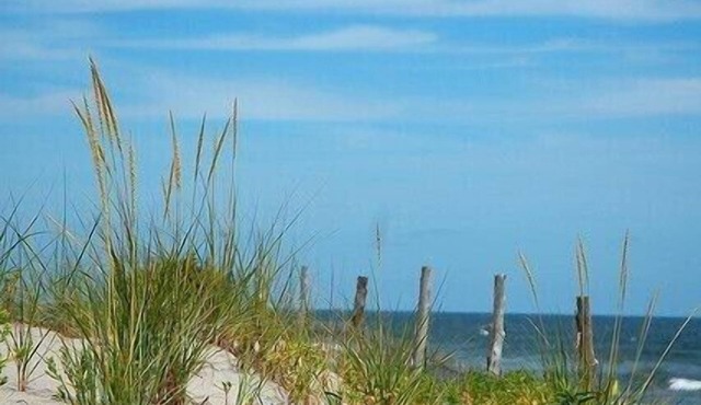 2 BR House Beach Haven Centrally located