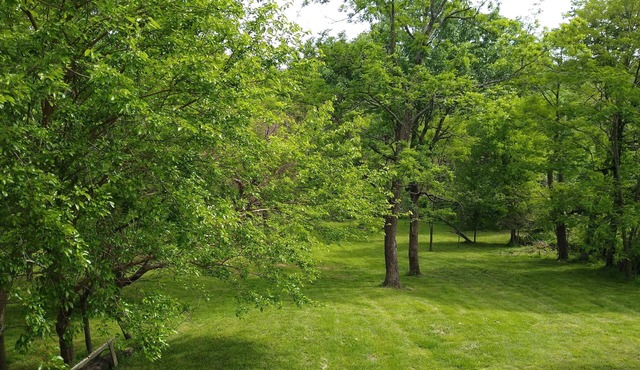 2-BR loft home, private lake for fishing/swimming, Tell City area rural estate