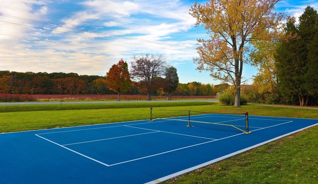 2 Cabins| HotTub | Pickleball | FirePit | King Bed