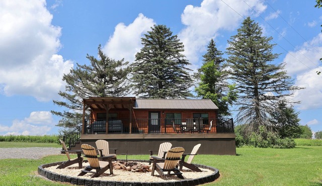 2 Cabins, Private, Stargazing +ATV Trail Access