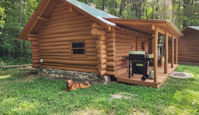 2 Cabins with Kitchen/Bath House on 137 Acres!