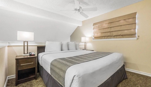 2 Comfortable Units! Outdoor Pool, Pets Are Welcome, Free Parking & Breakfast!
