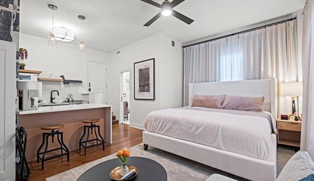 2 Connected Studios in Historic Building Walkable to Plaza - 2BR, 2BA, 2 Kitchens + Rooftop Views