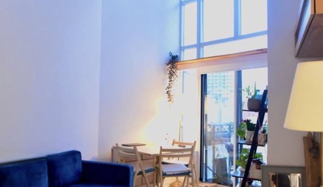 2 floor condo downtown toronto