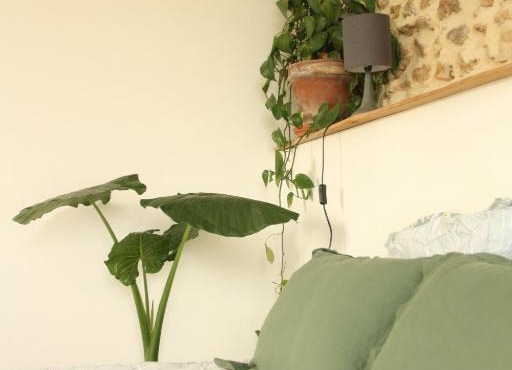 2 Gites 4 étoiles pour 2 à 4 personnes et jusqu'à 10 personnes, entre Béarn, Pays basque et Chalosse