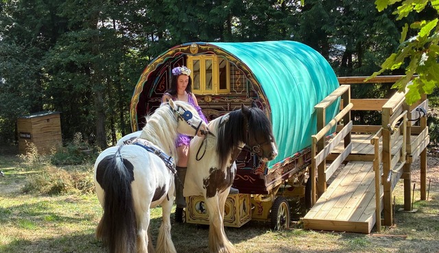 2 Guests - Pet Friendly - Traditional Gypsy Vardo