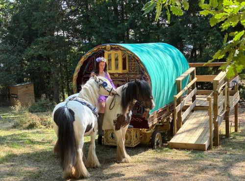 2 Guests - Pet Friendly - Traditional Gypsy Vardo