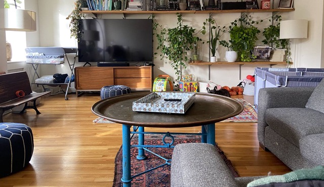 2 HUGE Townhouse Floors: Fort Greene Park Out Your Window! (Family+Pet-Friendly)