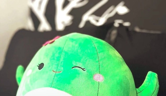 2 KING BED ABODE in Atlanta w/Foosball Table