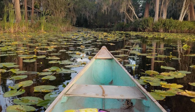 2 kitchens, Canoe, kayak on Sunset Lake + 700sqf apt Perfect for family getaways