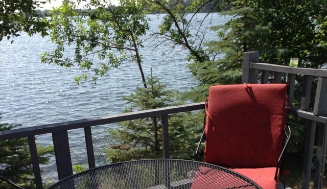 2 Lakes! Pontoon available and Dogs welcome. 335' Lakeshore By Alexandria