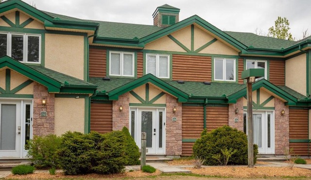 2-Level Home - Tremblant Mountain View - Fireplace