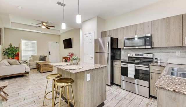 2 Mi to DHR Health: Commuter-Friendly Pharr Apt