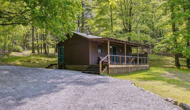 2 Mi to Green Bank Observatory! Mtn-View Cabin
