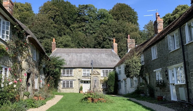 2 minutes to the park & High Street! Family-sized thatched country cottage