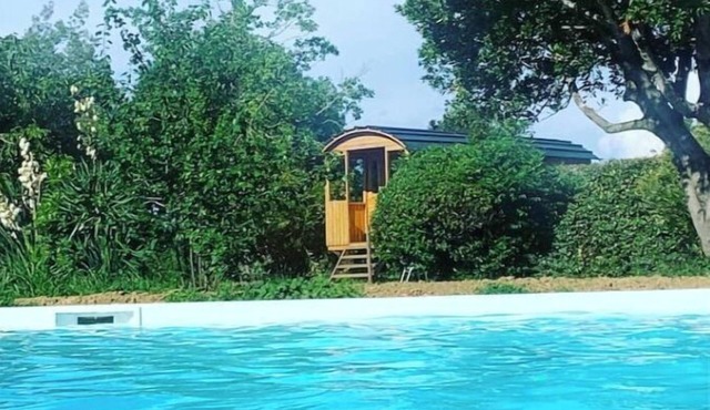 2 or 4-seater caravan in wooded park.