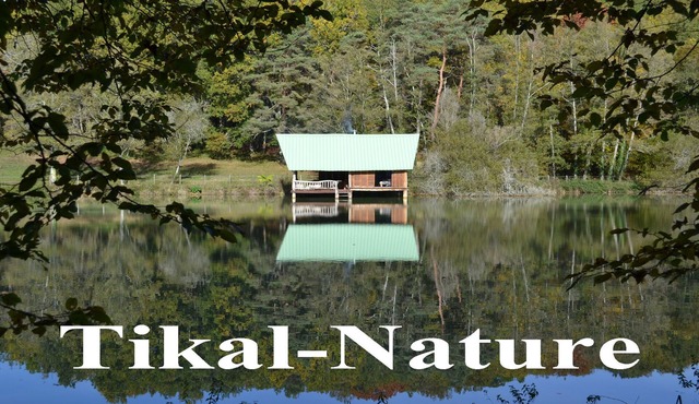 2-person lodge rental