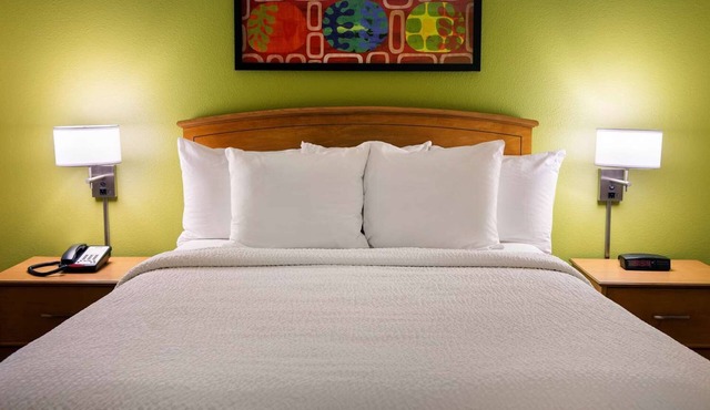 2 Pet-Friendly 2 Bedroom Suites Near Detroit Metro Airport