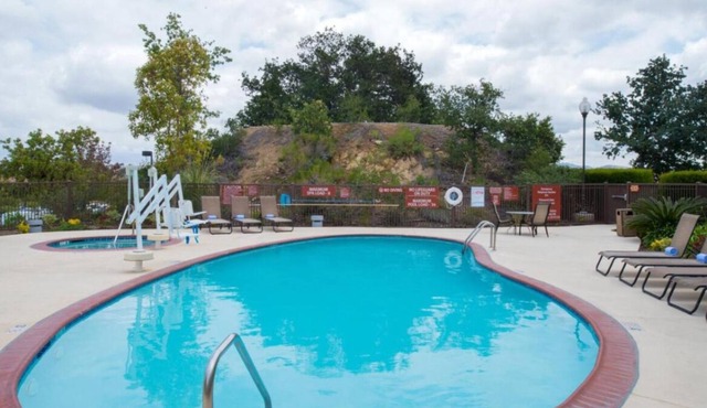 2 Pet-friendly Accommodations with Kitchenettes! Pool Access, Pets are Welcome!