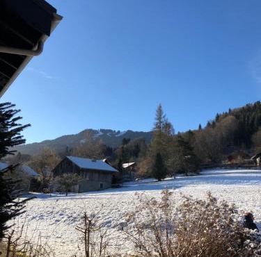 2 pièces avec terrasse Morillon Village
